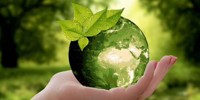 ENVIRONMENTAL MISSION